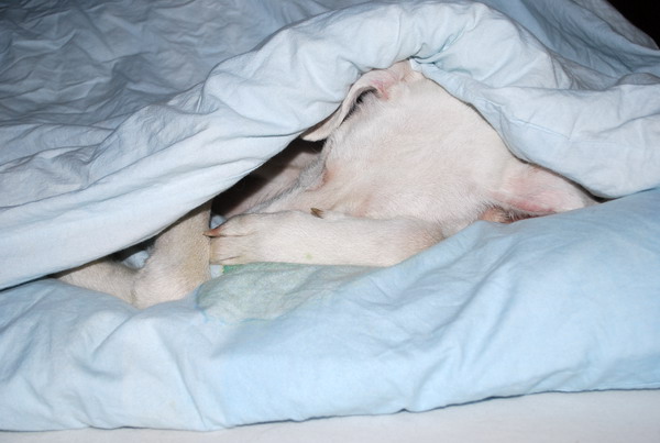 DSC_0676.jpg