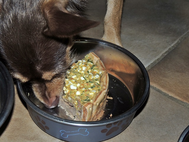 DSCN6337.JPG
