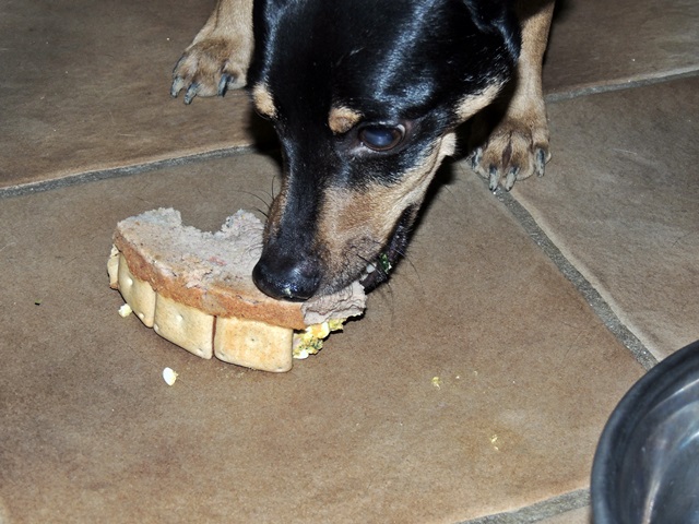 DSCN6338.JPG