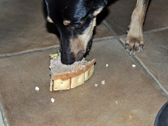 DSCN6339.JPG