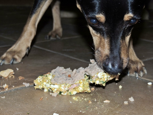 DSCN6343.JPG