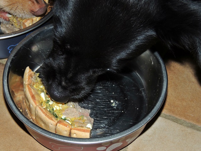 DSCN6345.JPG