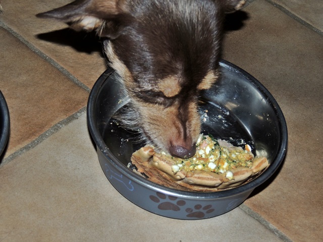 DSCN6350.JPG