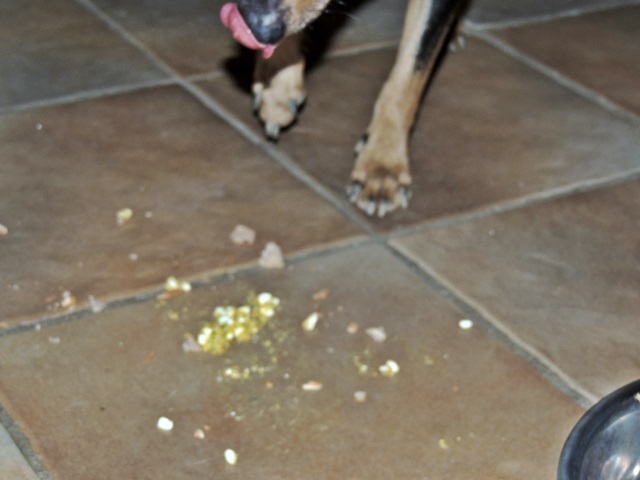 DSCN6347.JPG