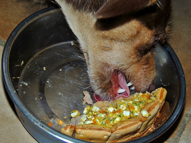 DSCN6351.JPG