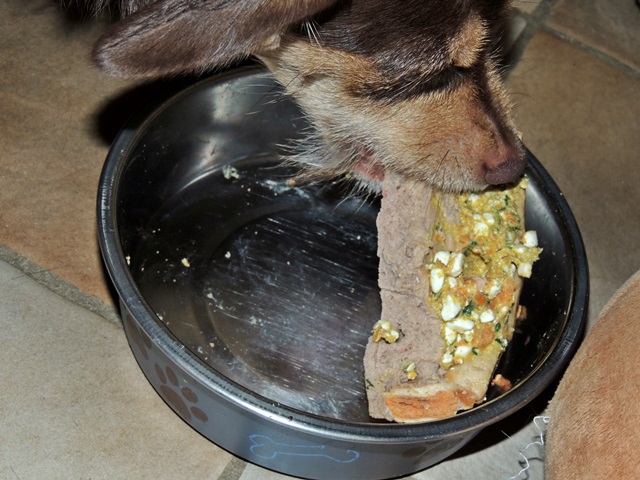 DSCN6352.JPG