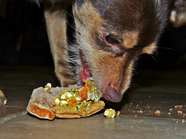 DSCN6356.JPG