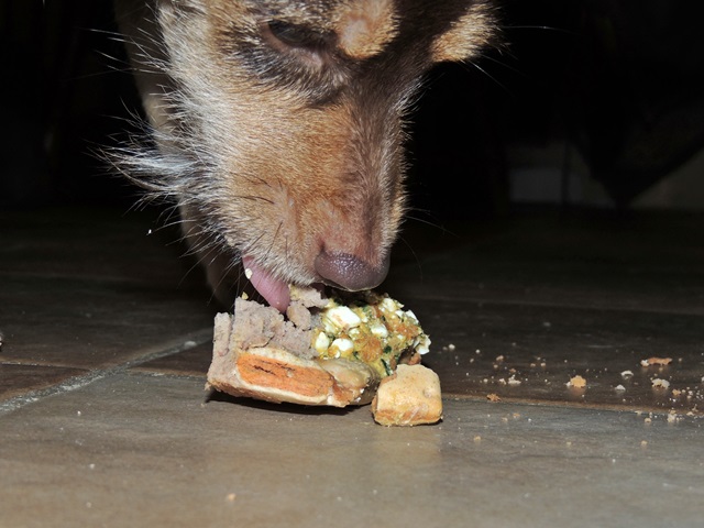 DSCN6357.JPG