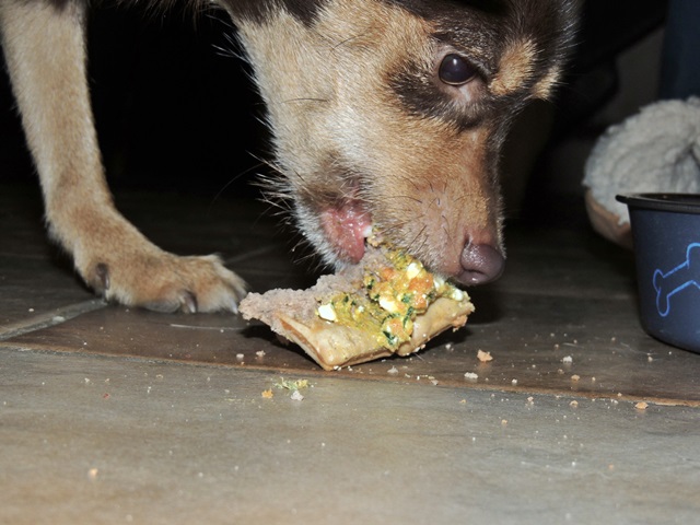 DSCN6360.JPG