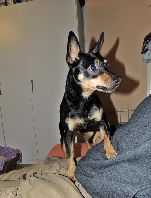 DSCN6265.JPG