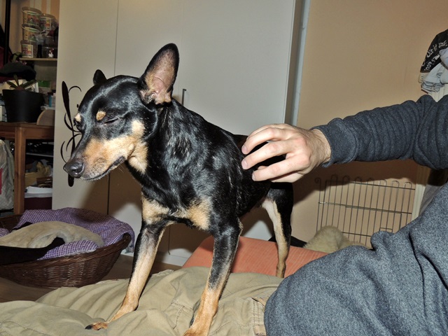 DSCN6267.JPG