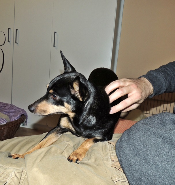 DSCN6268.JPG