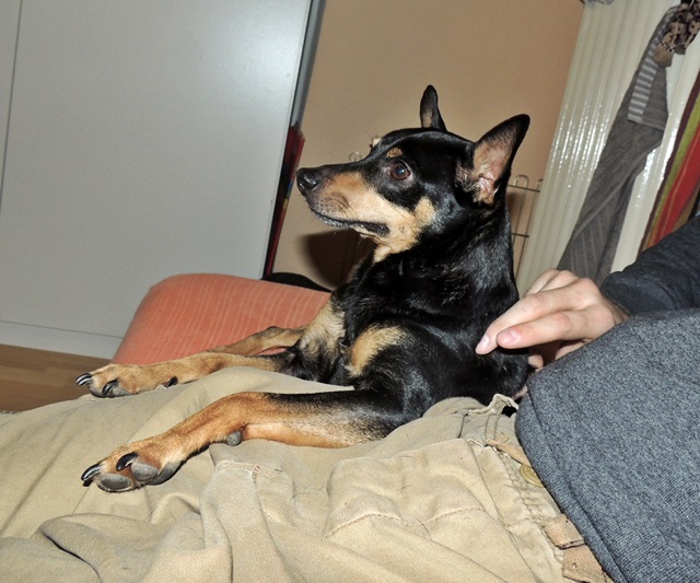 DSCN6270.JPG