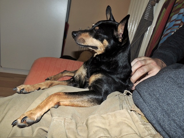 DSCN6272.JPG