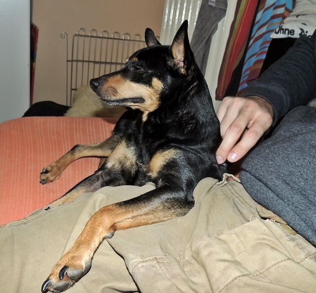 DSCN6275.JPG