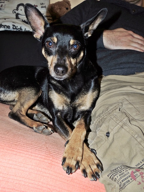 DSCN6280.JPG