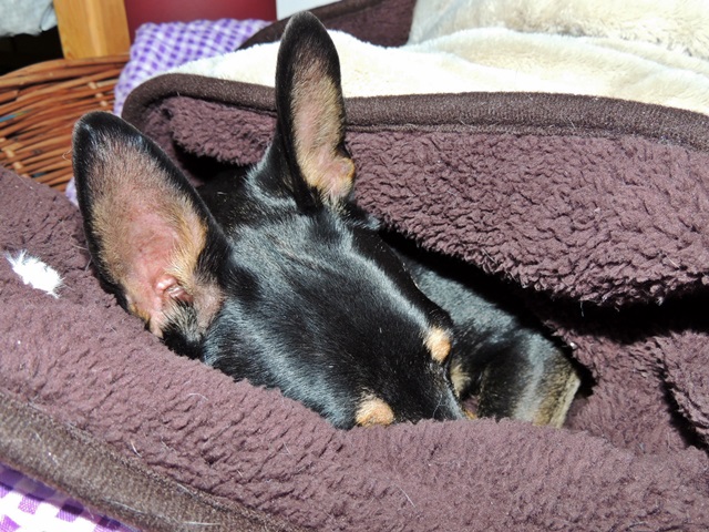DSCN6285.JPG