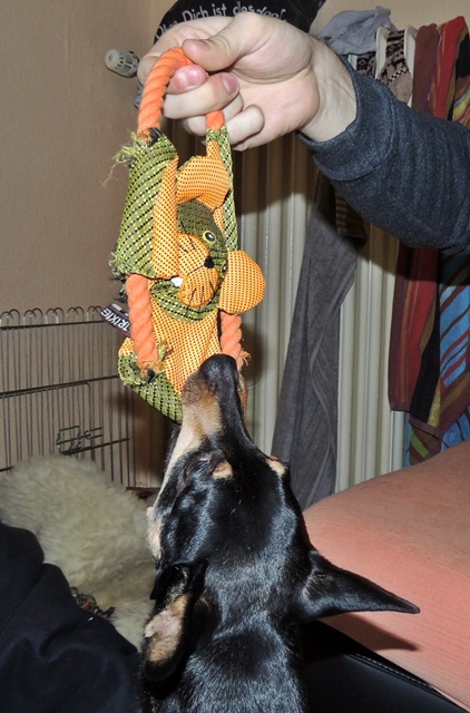 DSCN6291.JPG