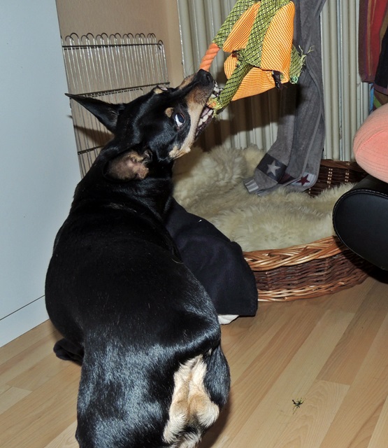 DSCN6296.JPG
