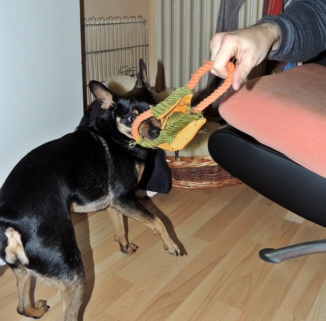 DSCN6298.JPG