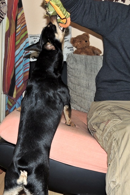 DSCN6303.JPG