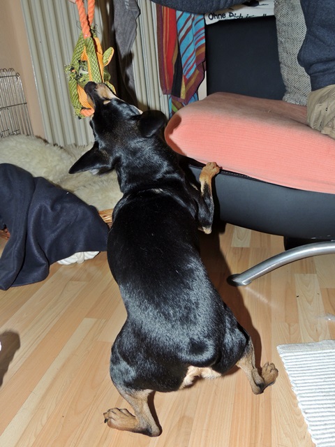 DSCN6306.JPG