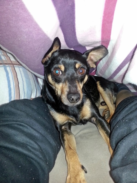 20131216_072716.jpg