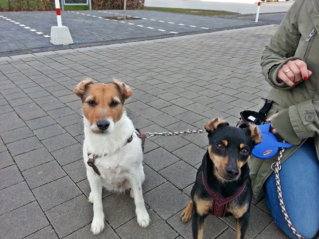 20131216_145312.jpg