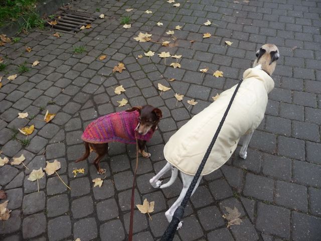Bild 22.jpg