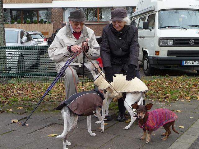 Bild 31.jpg