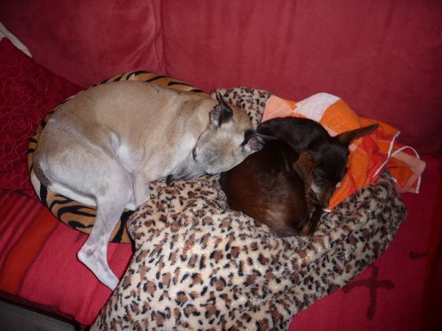 Bild 34.jpg