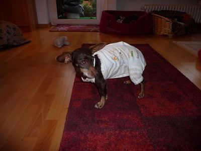 Bild 9.jpg