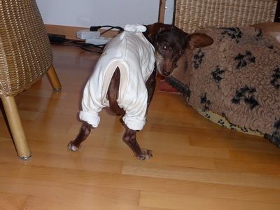 Bild 5.jpg