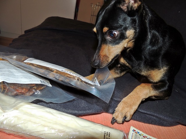 DSCN6437.JPG