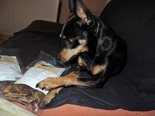 DSCN6438.JPG