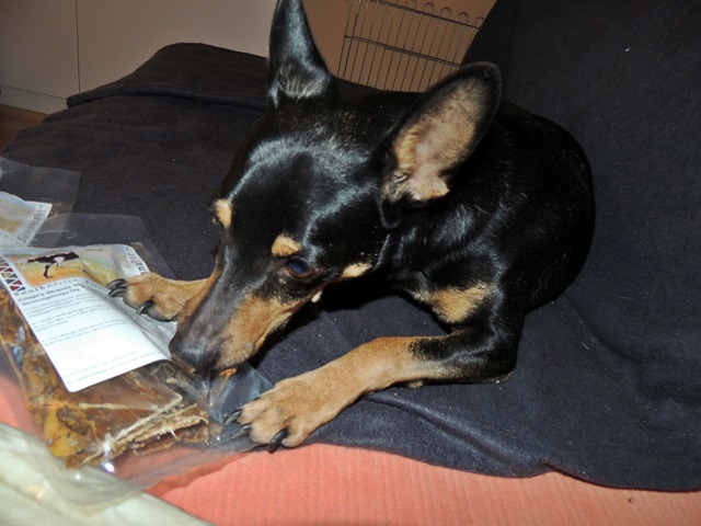 DSCN6440.JPG