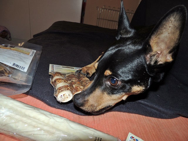DSCN6441.JPG