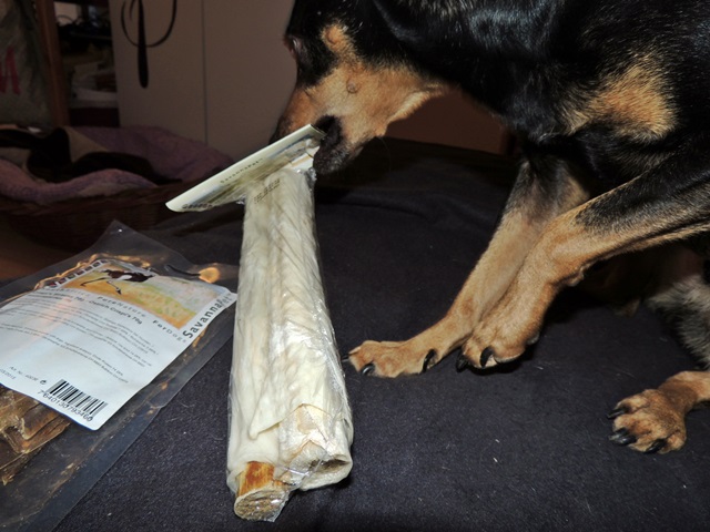 DSCN6451.JPG