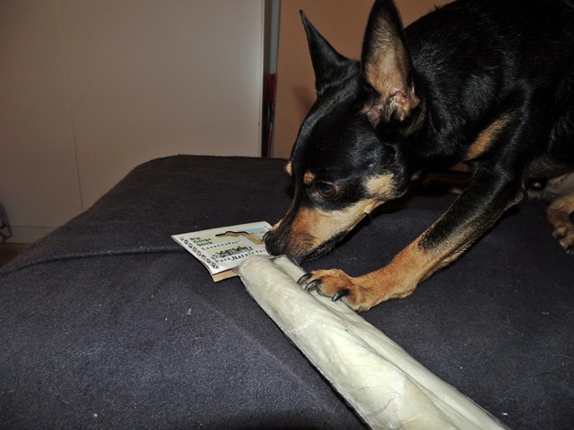 DSCN6455.JPG