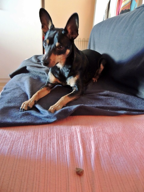 DSCN6470.JPG