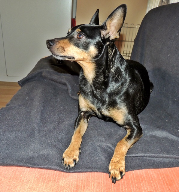 DSCN6475.JPG