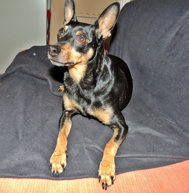 DSCN6477.JPG