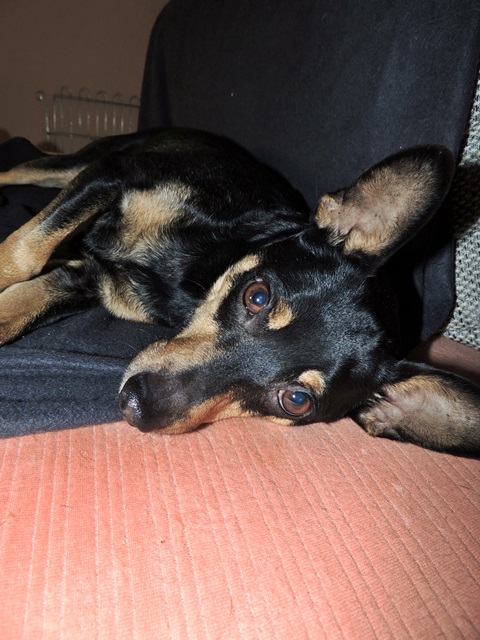 DSCN6481.JPG