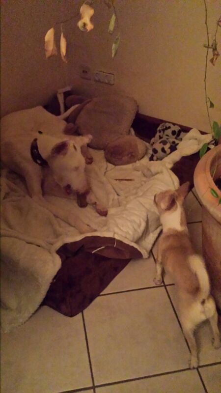 IMG-20131222-WA000.jpg
