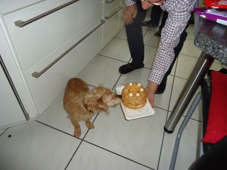 Canela Ham 22.12.13 036.JPG