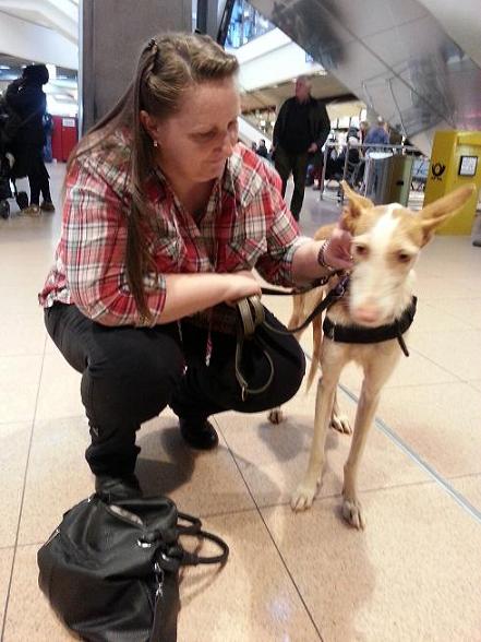 Kopie von 20131222_141532.jpg