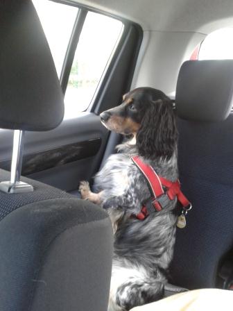 20131222_132620.jpg