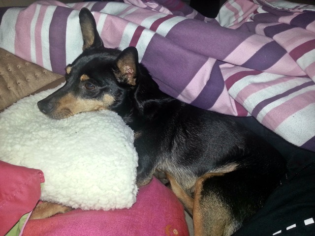 20131221_085110.jpg