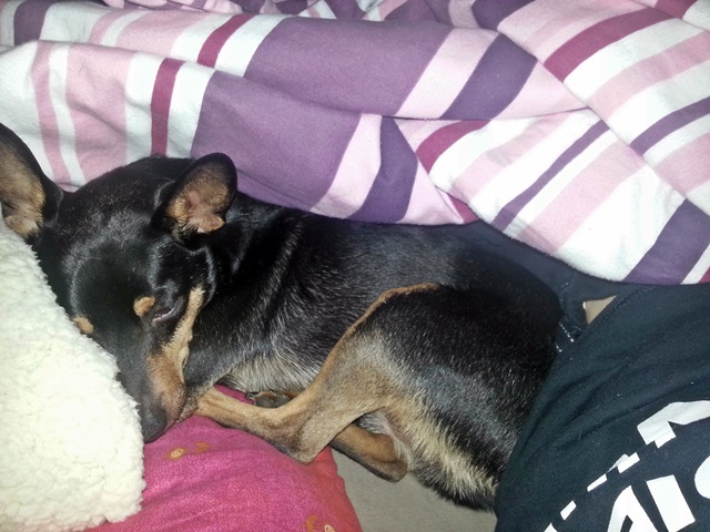 20131221_085320.jpg