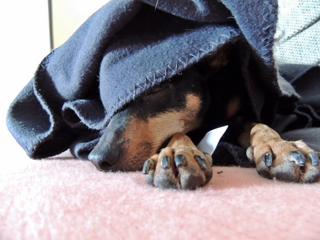 DSCN6486.JPG